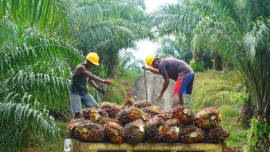 Wakil Bupati Kasmidi Bulang beberapa waktu yang lalu Pemerintah Kabupaten Kutai Timur (Kutim), Prediksikan Anggaran Pendapatan Belanja Daerah (APBD) Kutim 2023 kemungkinan bisa capai di angka Rp5 triliun.