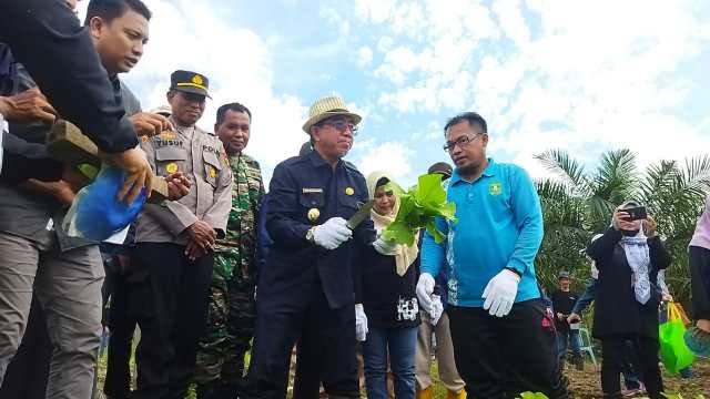 ebuah konsep pengembangan pangan yang dilakukan secara terintegrasi. Dinas Pertanian dan Peternakan Kutim akan membangun kawasan food estate. 